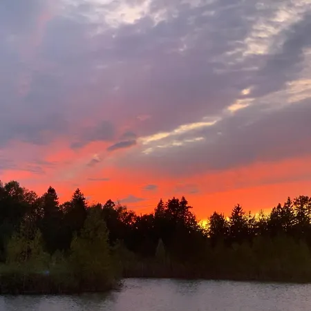 Marguse Metsamajad *