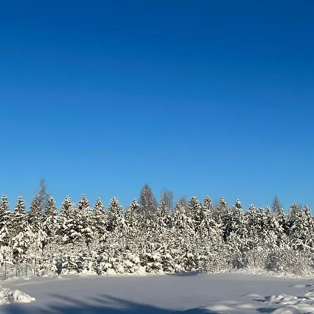 Marguse Metsamajad Dom wakacyjny *