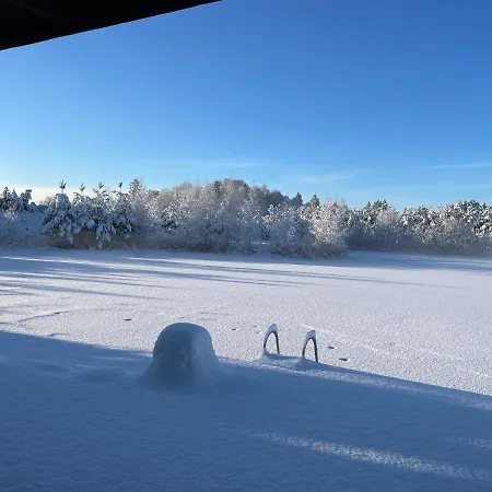 Marguse Metsamajad *