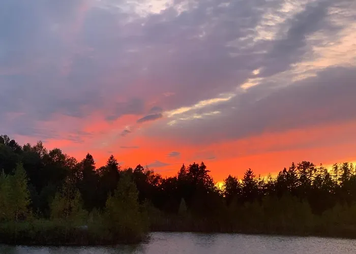 Marguse Metsamajad *