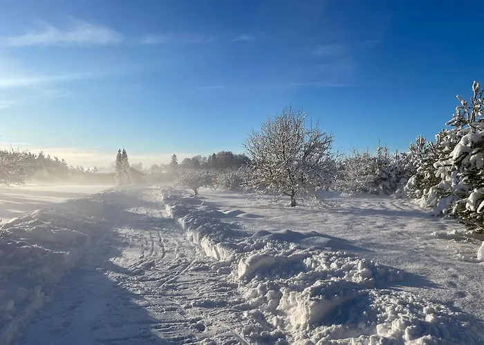 Marguse Metsamajad * Parnu