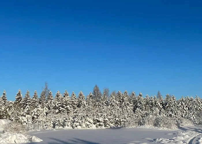 Marguse Metsamajad Vakantiehuis *